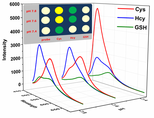 SXU publishes significant molecular science find