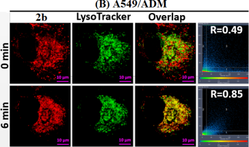 Study from Shanxi University published in top chemistry journal