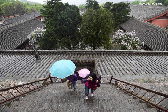 Ancient architecture lovers' Wutai trip