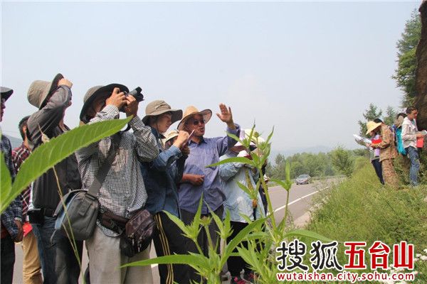 Peking University sets up outdoor classroom in Mount Wutai