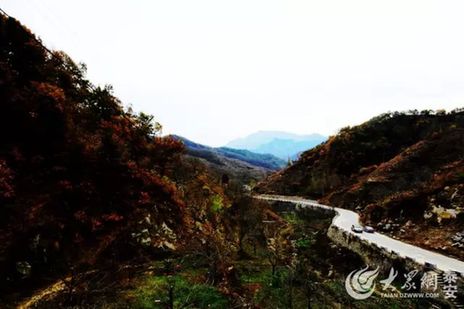 East Tai'an - Zhonggong Road: the mountain highway becoming a favorite road trip destination