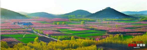 Annual peach blossom festival to unveil in Tai'an