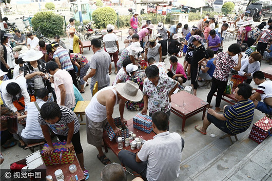 Cricket sells for 50,000 yuan in Shandong