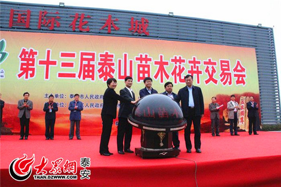 Plants and flowers fair held in Tai'an