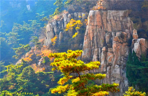 Forest oxygen bars in Tai'an