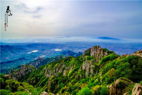 Forest oxygen bars in Tai'an