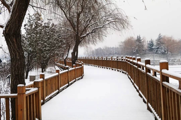 In pics: Tianyi Lake scenic area captured after snow