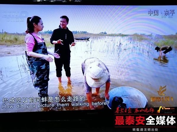 Beauty and delicacy of Dongping featured in CCTV documentary