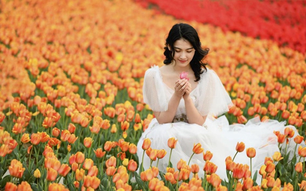 Blooming spring tulips brighten up Tai'an