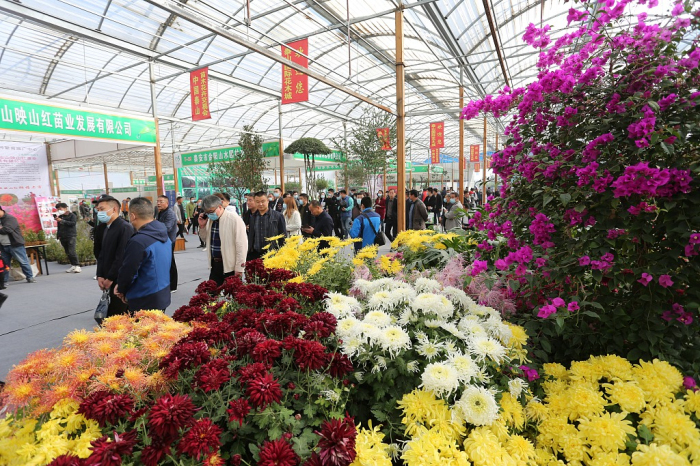 Flower and nursery stock fair opens in Tai'an