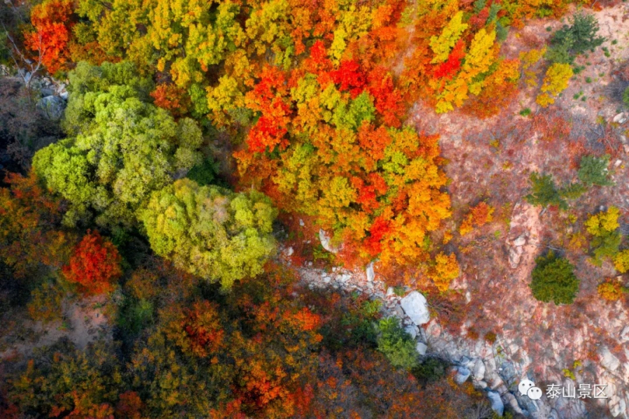 Views of Mount Tai in late autumn