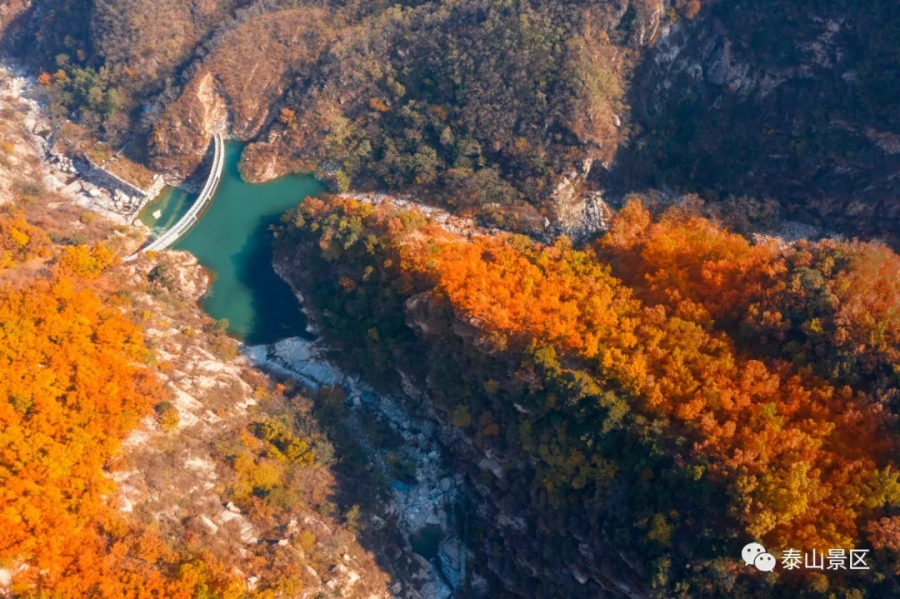 Views of Mount Tai in late autumn