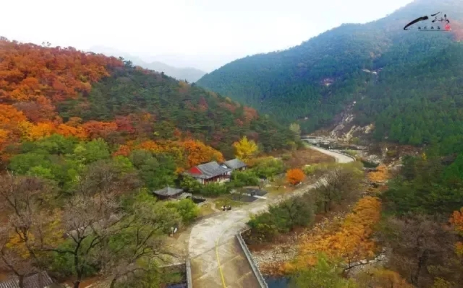 Splendid autumn scenery in Tai'an