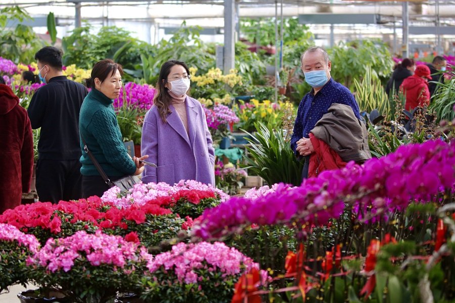 Tai'an flower markets popular before holiday