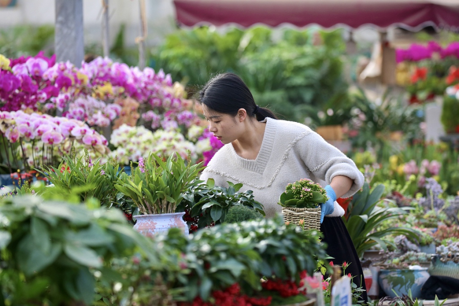 Tai'an flower markets popular before holiday