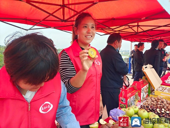 Taishan district hosts kiwi fruit picking festival