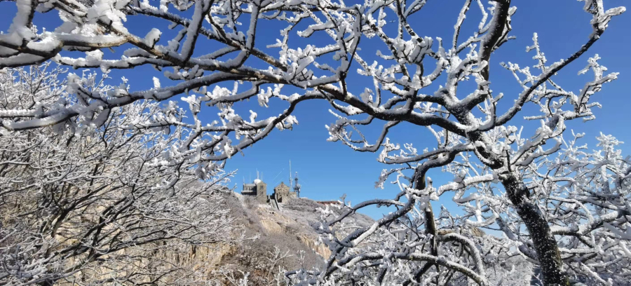 Mount Tai makes frosty spectacle after snow