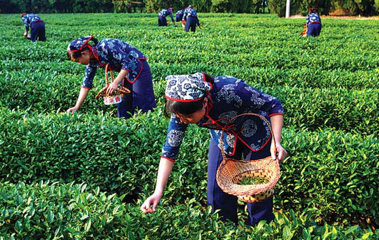 Shandong to showcase agricultural strengths