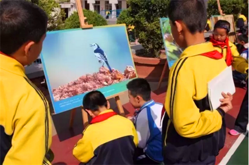 Protection for heaven-sent wild birds on Mount Tai