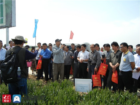 Tai'an promotes seed industry development