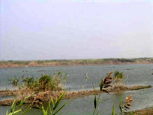 The Qilihai Wetland