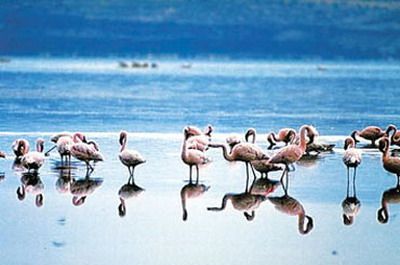 The Qilihai Wetland