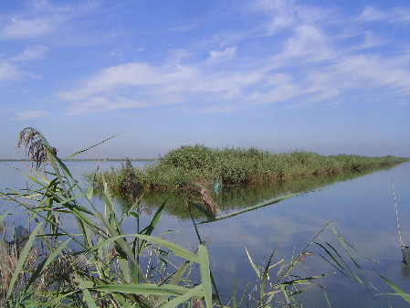 The Qilihai Wetland