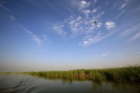 Tianjin to build geopark in Qilihai wetland