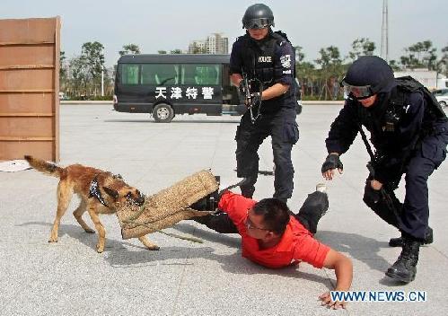 Anti-terror drill held for upcoming Davos Forum in Tianjin