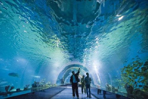 Polar Ocean Park to open to public in China's Tianjin