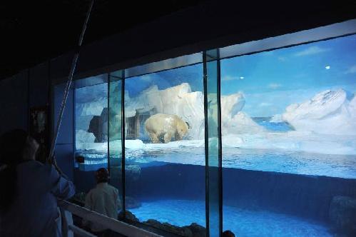 Polar Ocean Park to open to public in China's Tianjin