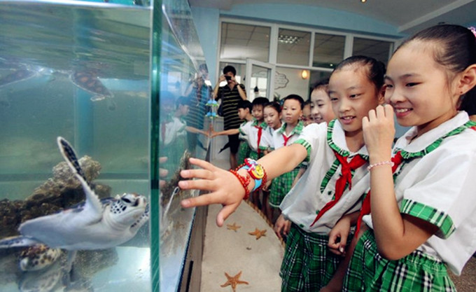 Children visit polar aquarium in primary school