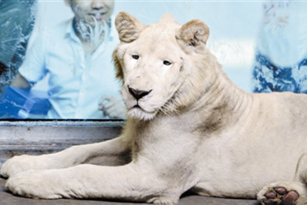 Tianjin Zoo brings in rare animals