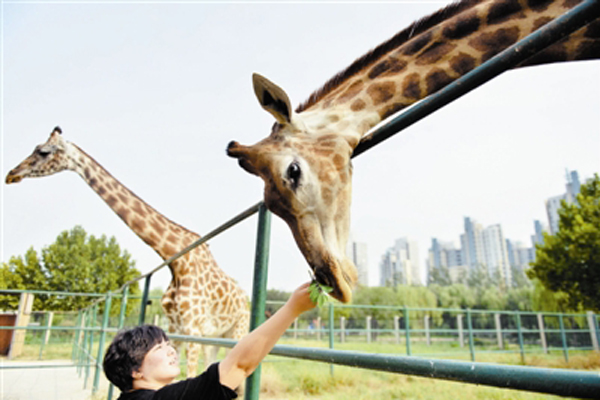 Tianjin Zoo brings in rare animals