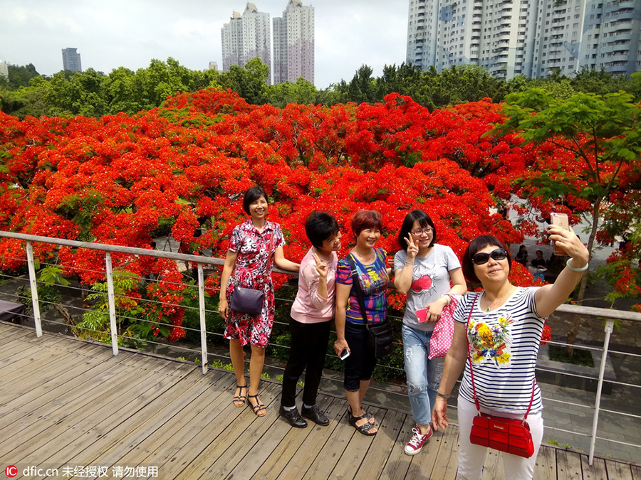 Top 10 Chinese cities with 'Internet plus tourism'