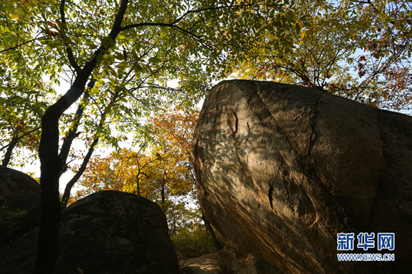 Vibrant autumn foliage at northern Shaolin Temple