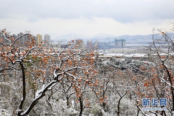 First snow falls in Tianjin