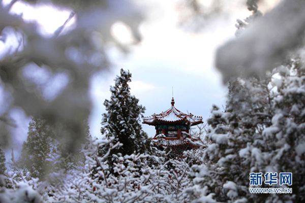 First snow falls in Tianjin