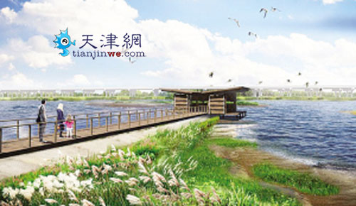 Tianjin to open relict gull park in summer