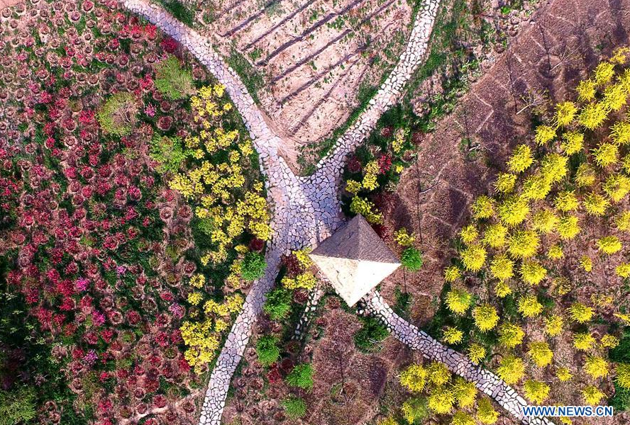 In pics: aerial view of Tianjin's country park