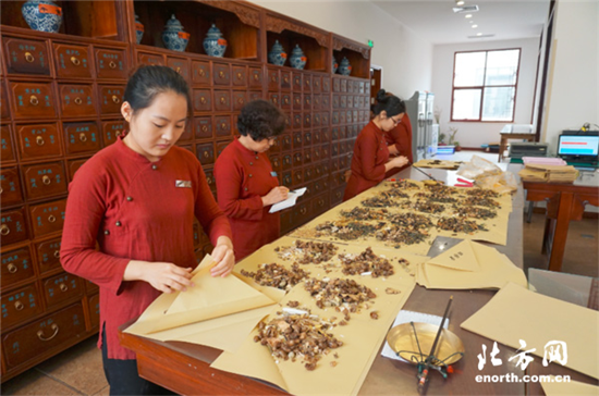 Tianjin traditional Chinese medicine to reach international stage