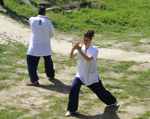 Wudang kungfu schools