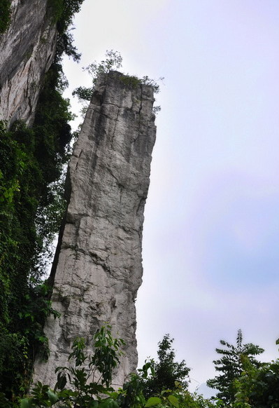 Three Gorges Household