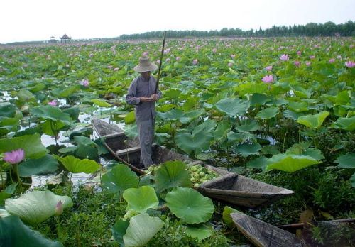 Lantian Eco-agricultural Tourism Garden