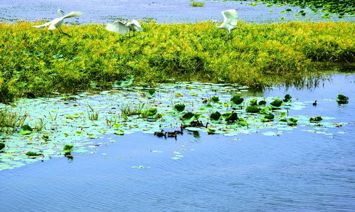 Liangzi Lake