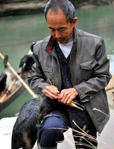 Fishing with cormorants in Hubei