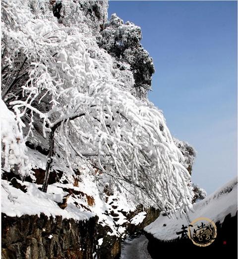 The beauty of the Wudang Mountains covered in snow