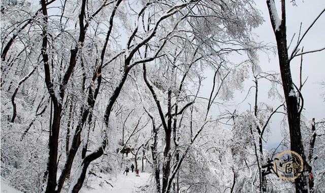 The beauty of the Wudang Mountains covered in snow