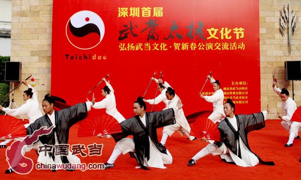 Hong Kong holds first Wudang Tai Chi Culture Festival