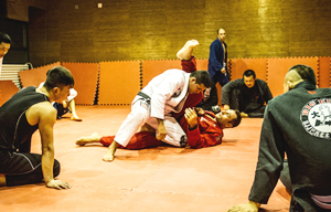 Foreign learners love Chinese martial arts